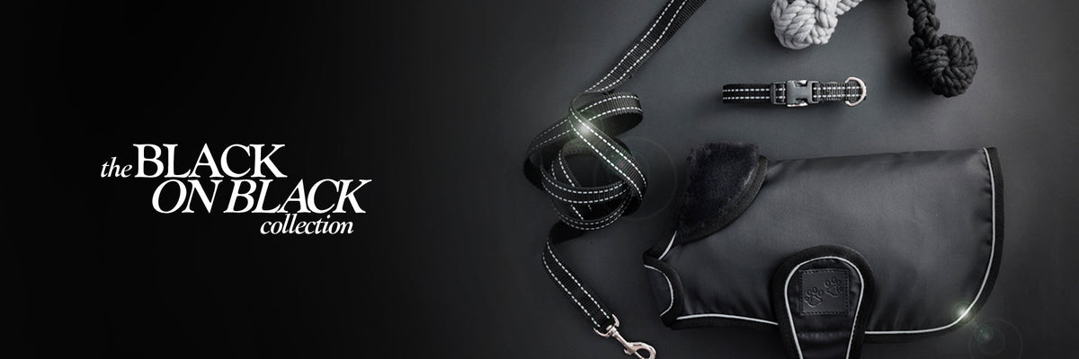 Pet Passion Black on Black Match Maker collection — black dog collars, leashes and coordinating accessories