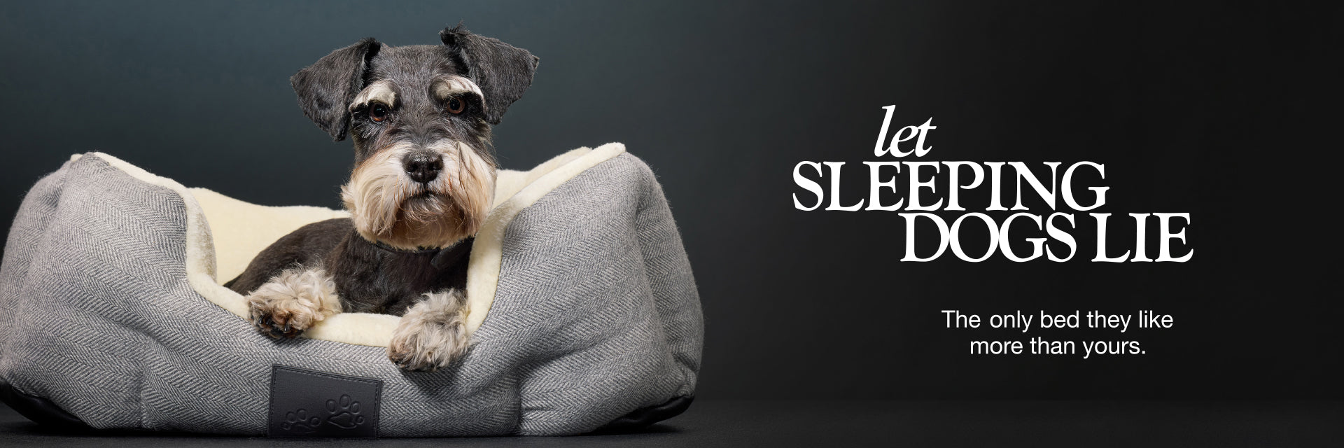 Pet Passion organic dog beds — soft, washable cotton dog beds for small to large dogs in coordinating Match Maker colors