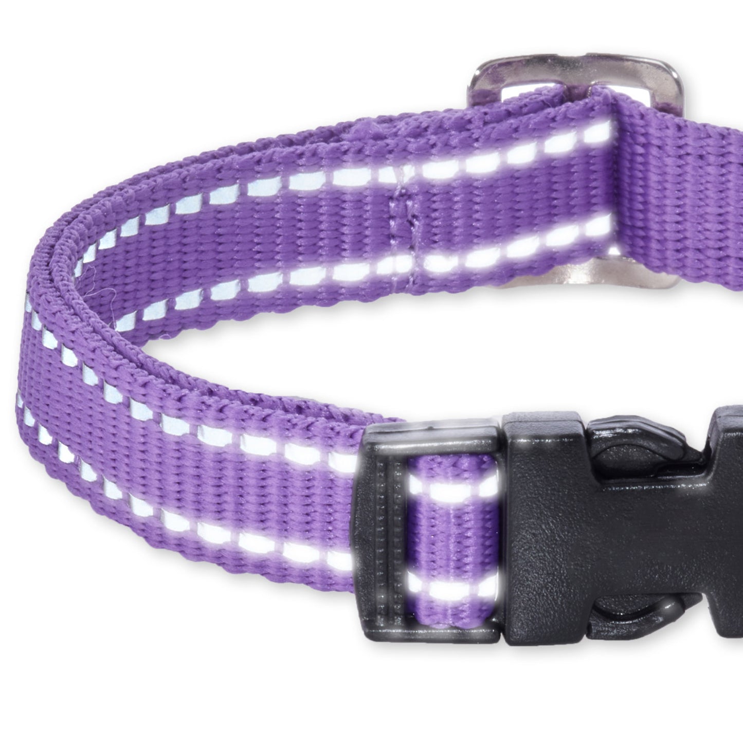 MAX- THE HARDY REFLECTIVE COLLAR , PURPLE
