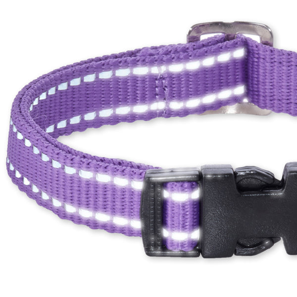 MAX- THE HARDY REFLECTIVE COLLAR , PURPLE