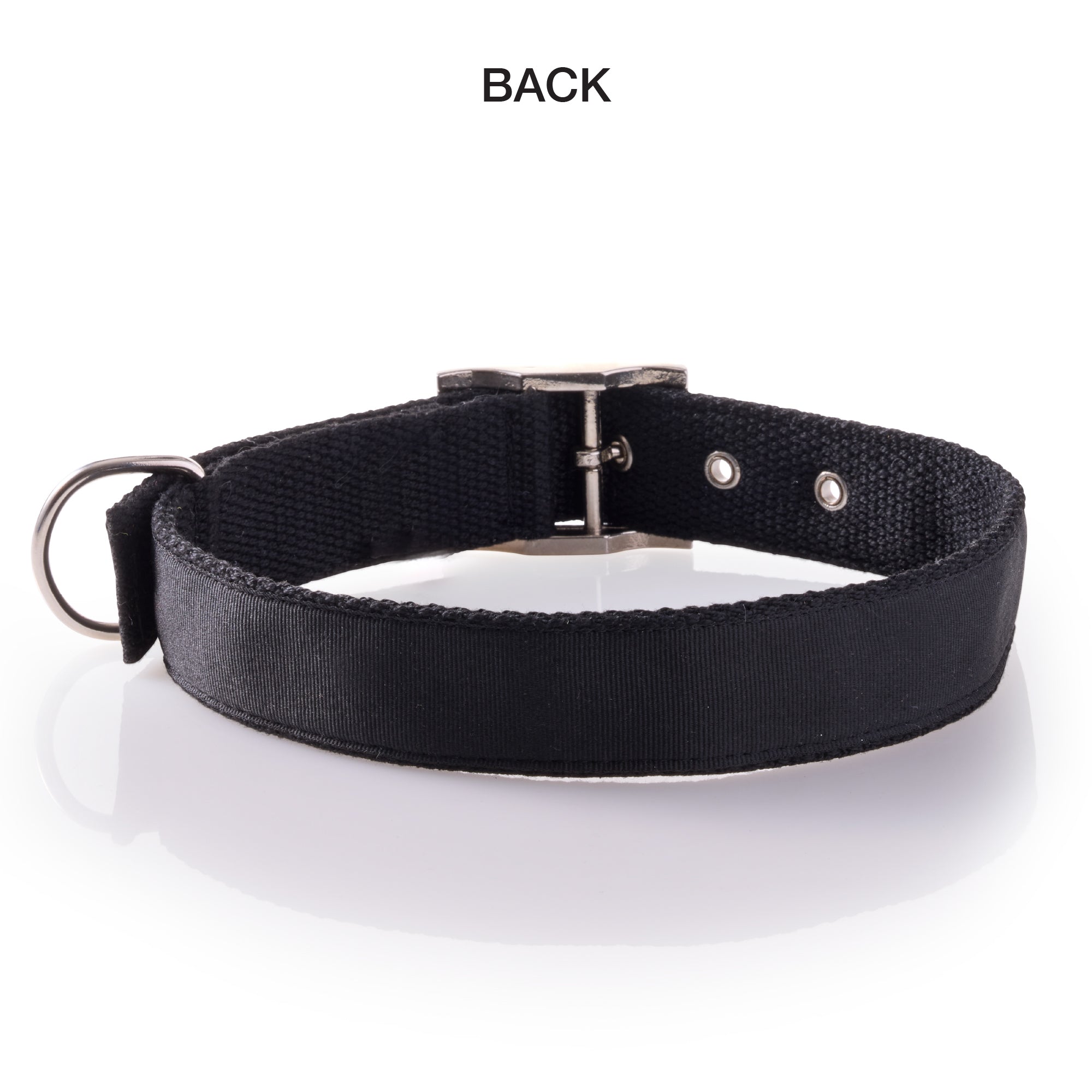 Back of REMY II collar
