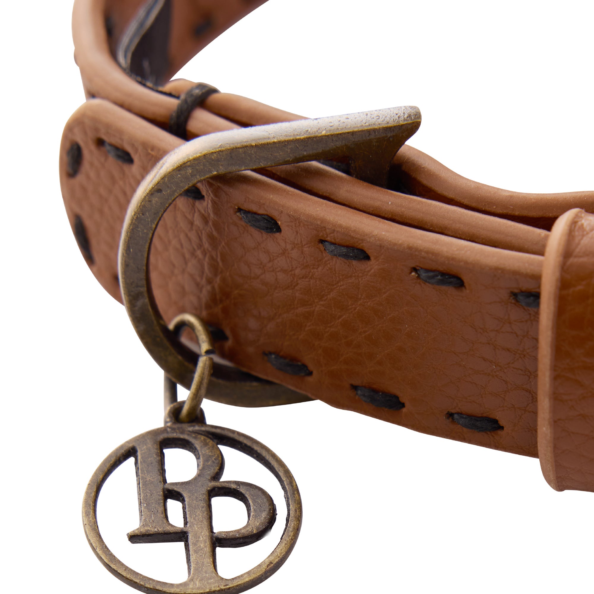 Close up of collar hardware and pet passion key chain on a white background