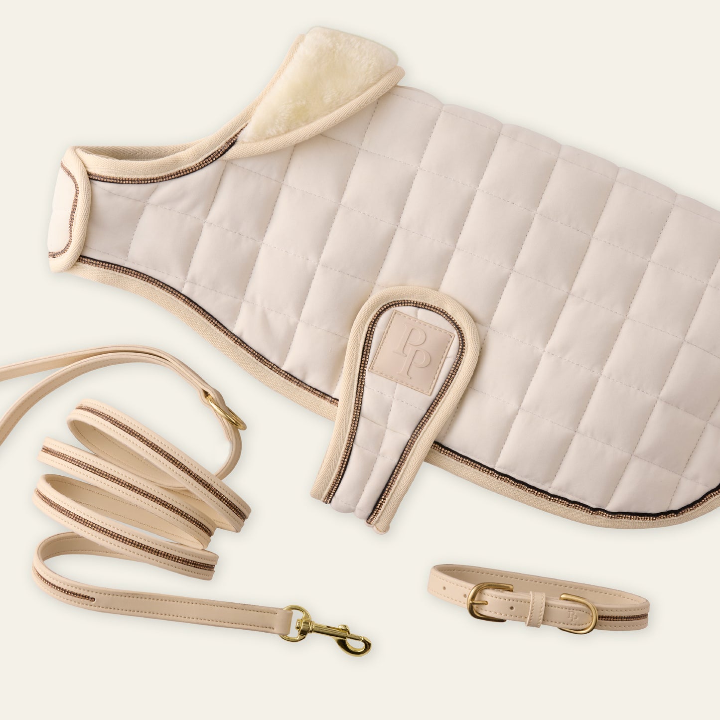 Dog coat, leash, and collar set on a light background
