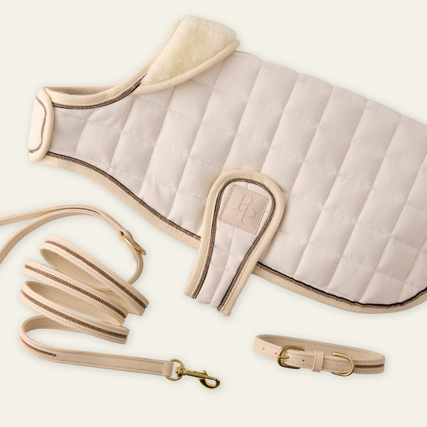 Dog coat, leash, and collar set on a light background