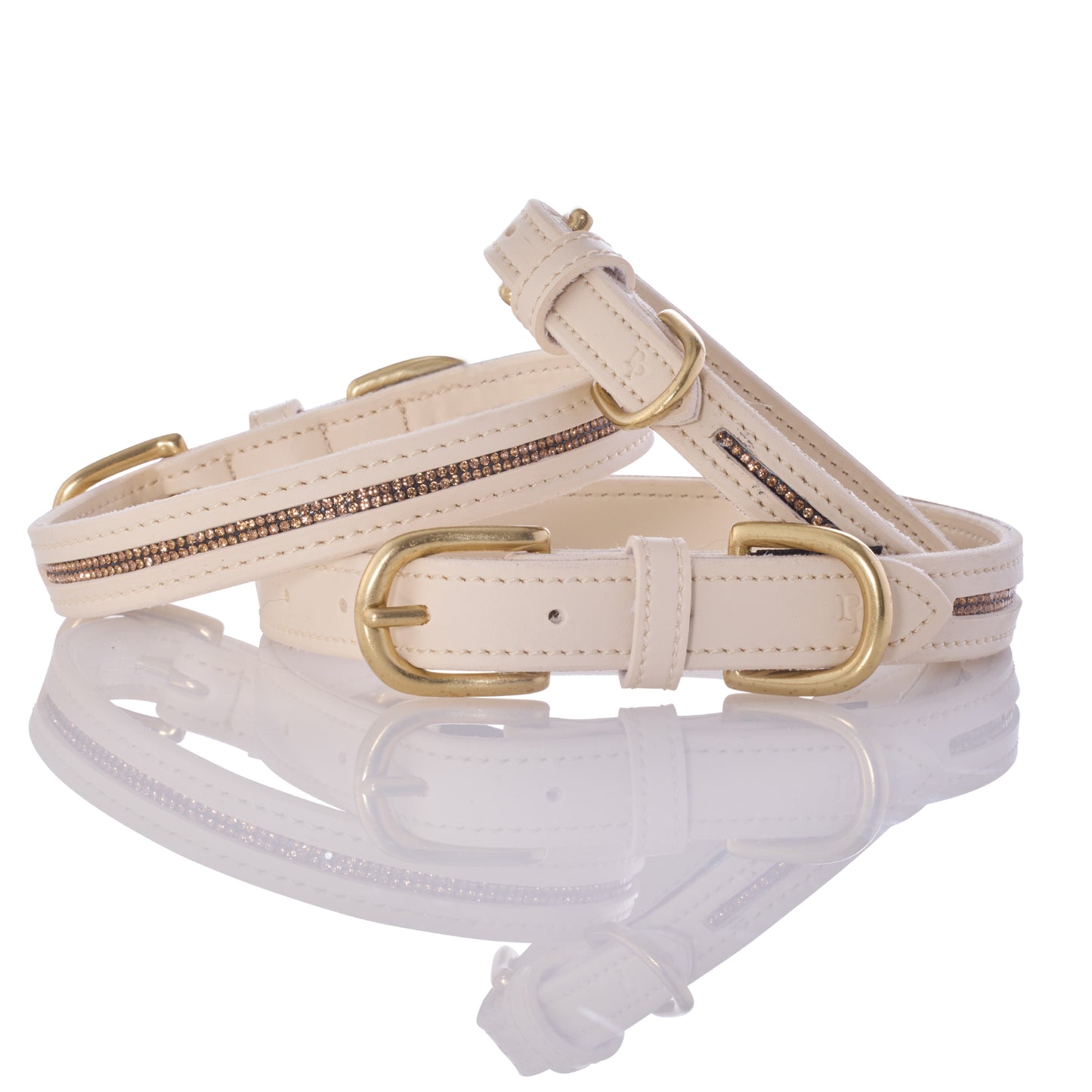 Beige dog collar with gold hardware on a white background