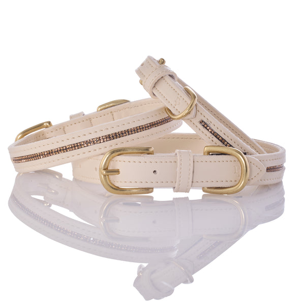 Beige dog collar with gold hardware on a white background