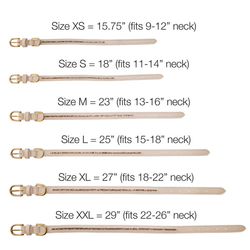 Measurement chart for dog collars with size labels and corresponding neck dimensions.