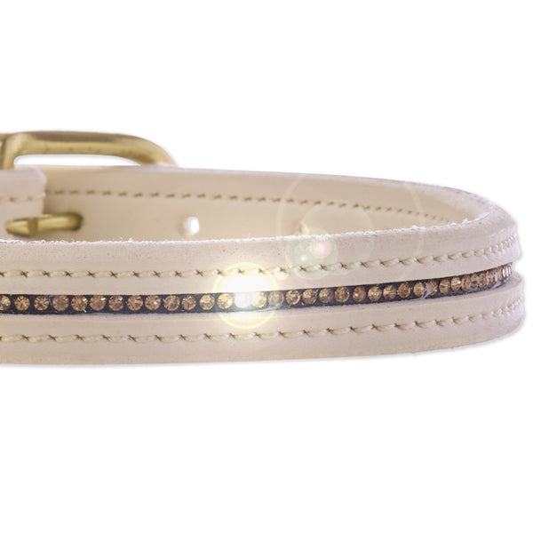 Beige dog collar with gold buckle and rhinestone detailing on a white background