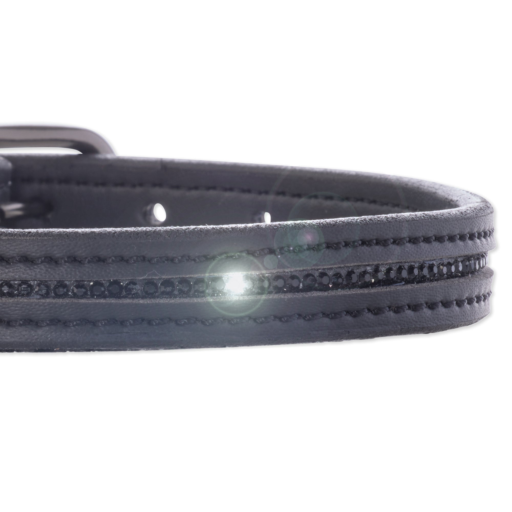 Pet Passion Roxy crystal bling dog collar in Black Bling — sparkly rhinestone-embellished collar for small dogs and special occasions