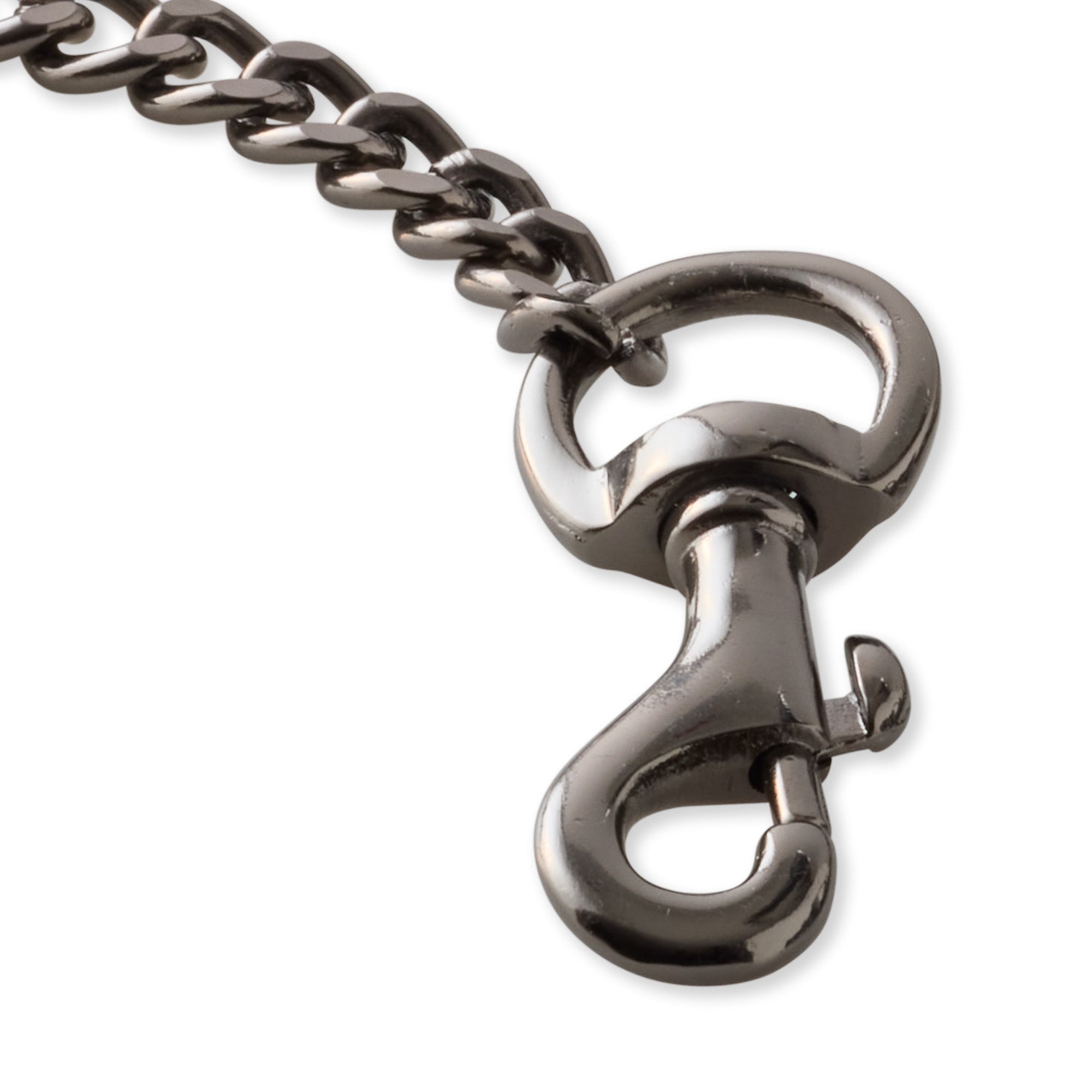 Close up of metal Leash clip hardware and links on a white background
