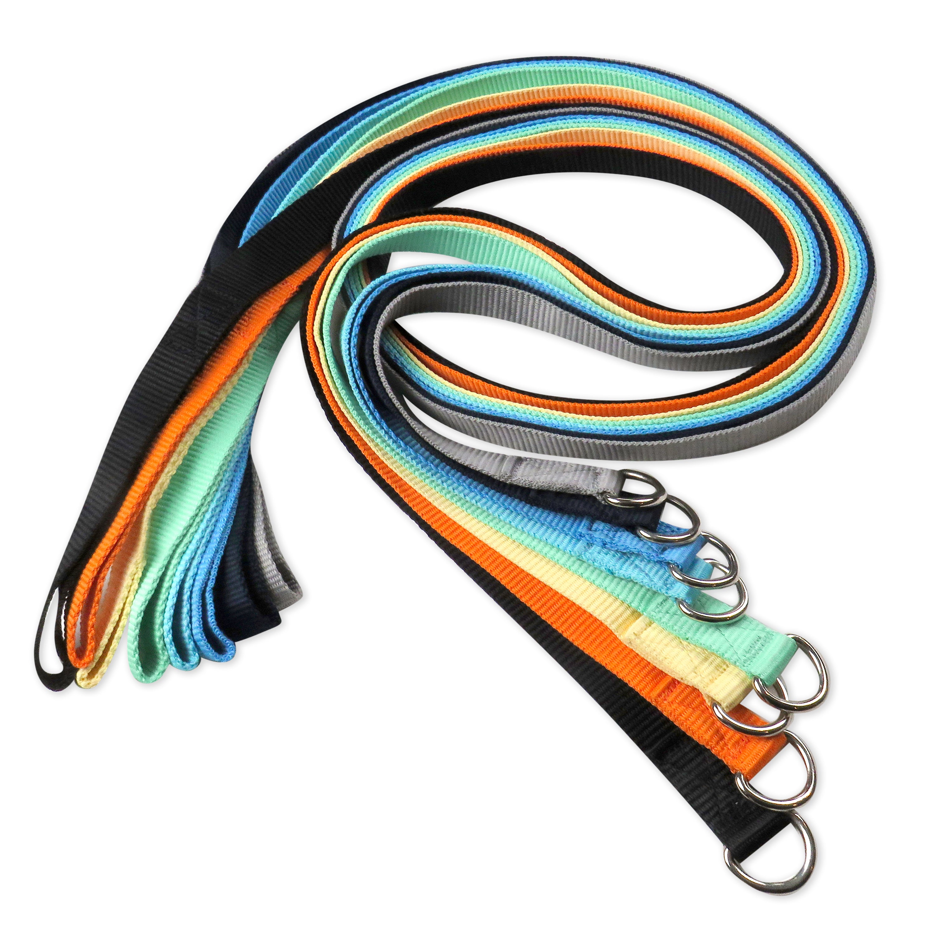 PARTY PUP SLIP LEASH, 8-PACK, RAINBOW BLUES