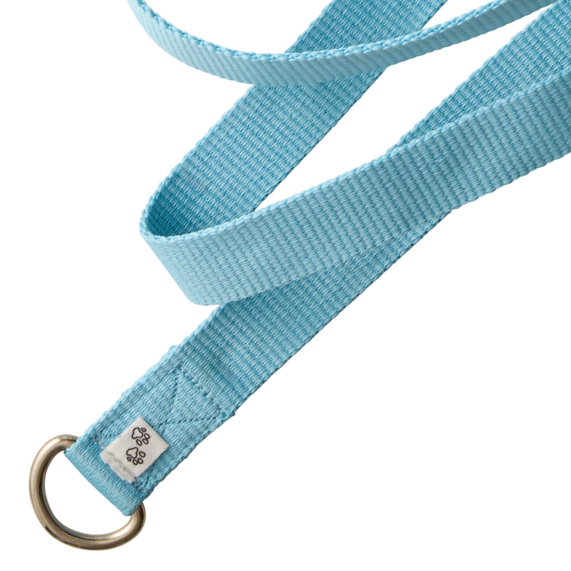 PARTY PUP SLIP LEASH, 8-PACK, RAINBOW BLUES
