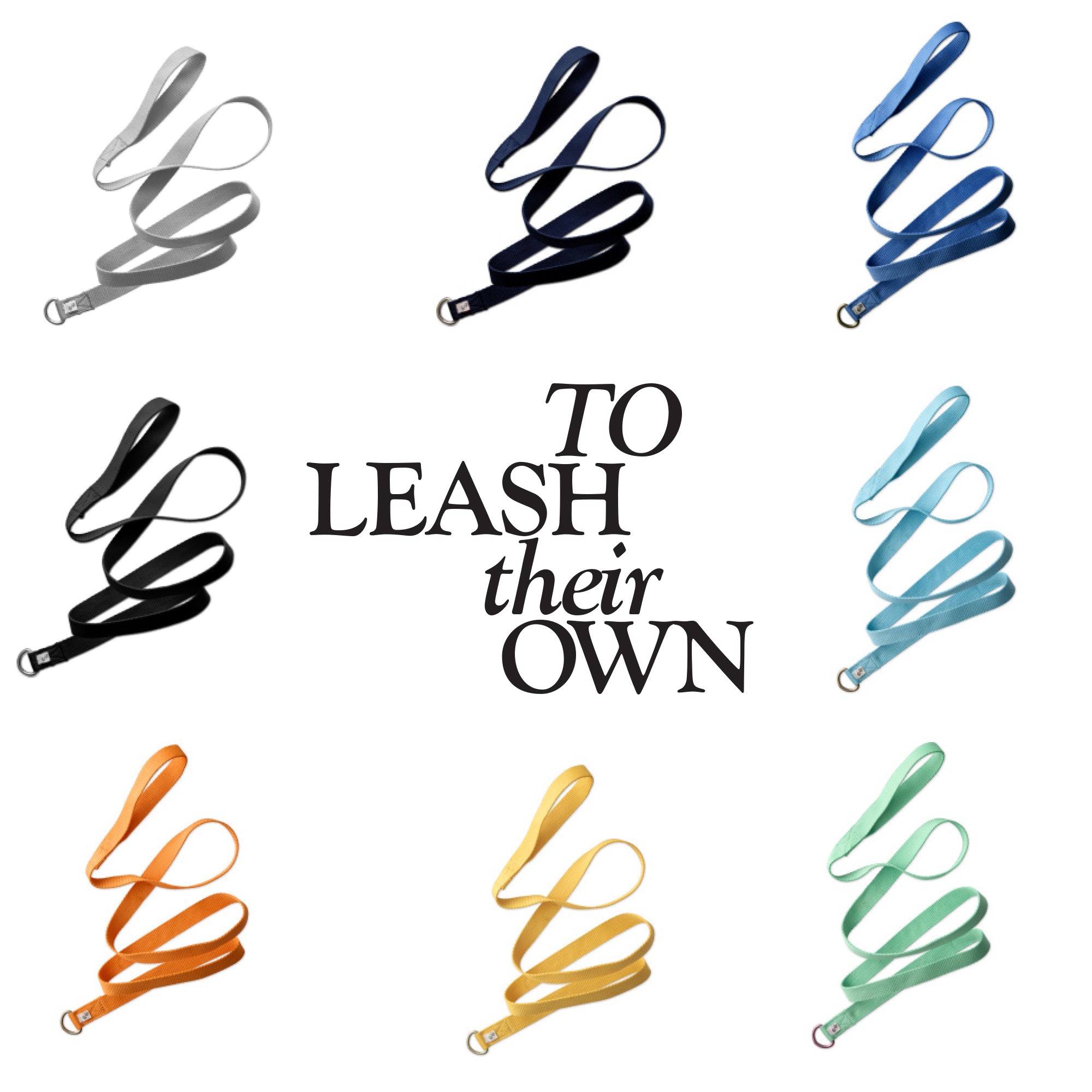 PARTY PUP SLIP LEASH, 8-PACK, RAINBOW BLUES