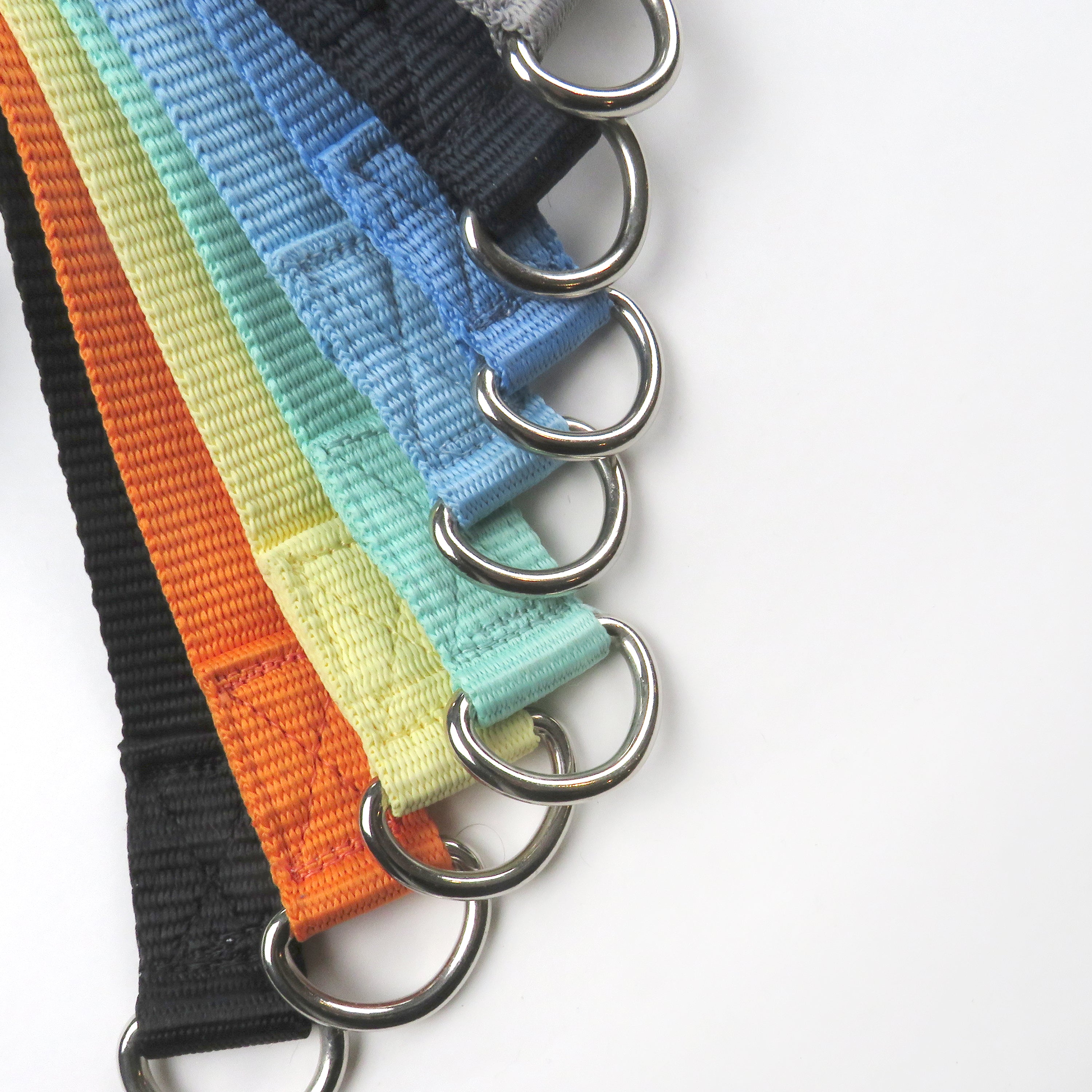 PARTY PUP SLIP LEASH, 8-PACK, RAINBOW BLUES