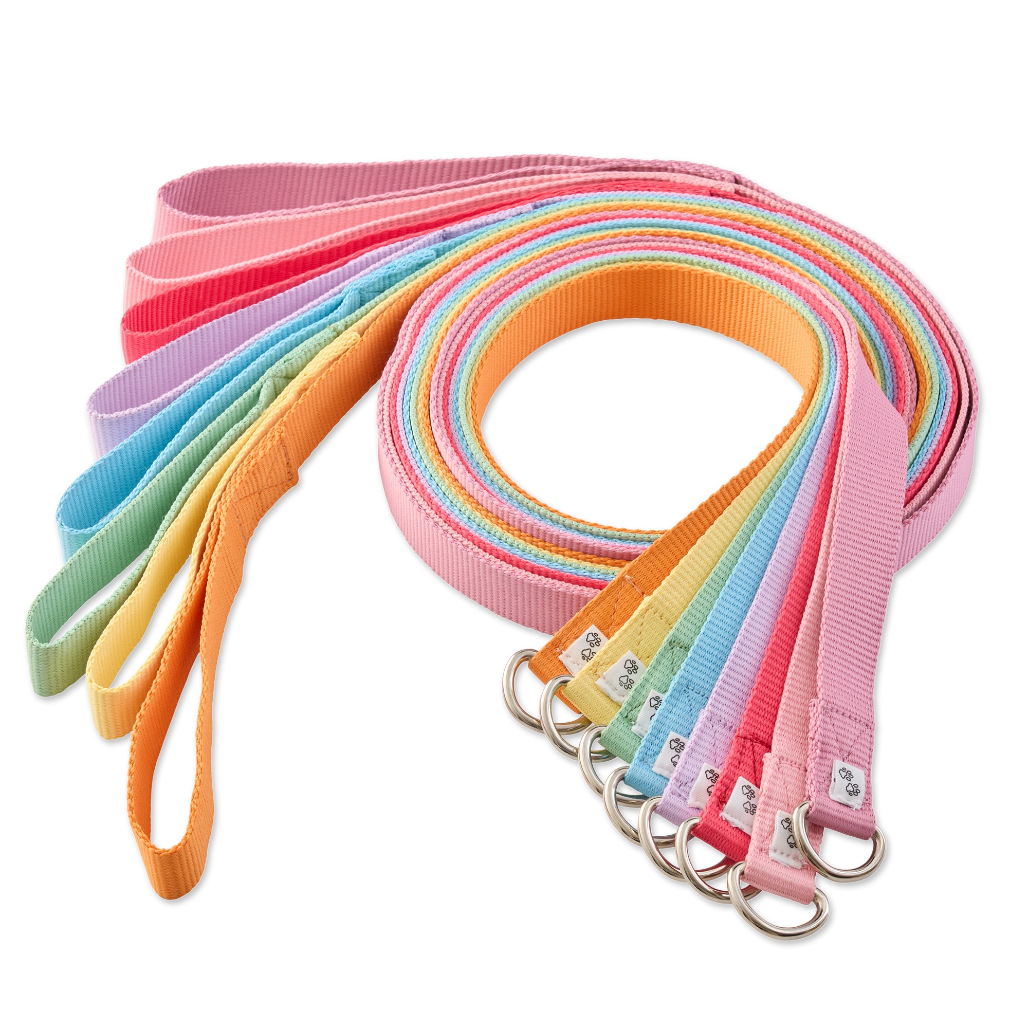 PARTY PUP- THE SLIP LEASH, 8 PACK