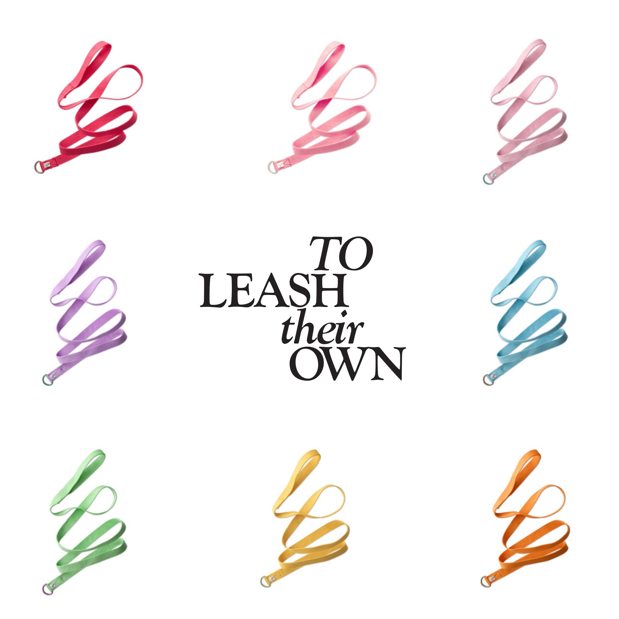 PARTY PUP- THE SLIP LEASH, 8 PACK