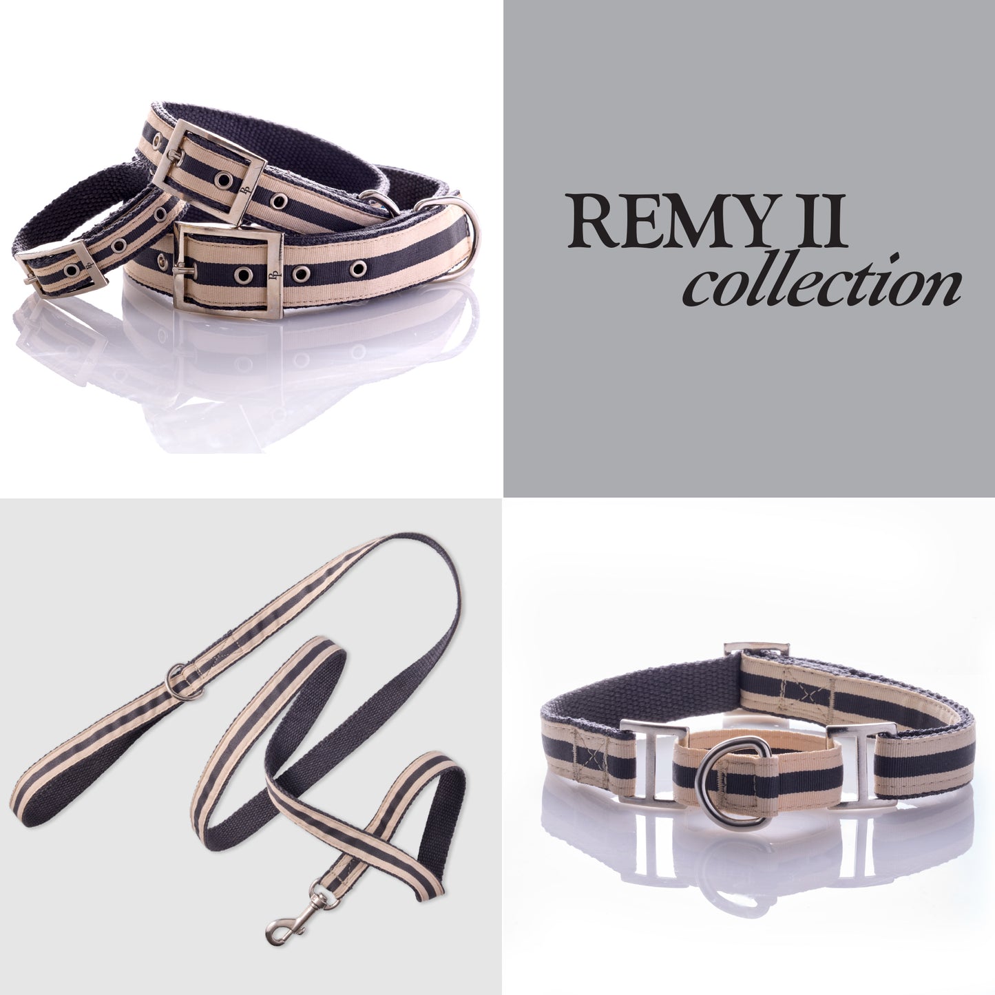 Dog collar, leash, and harness set with 'REMY II collection' branding on a white background.