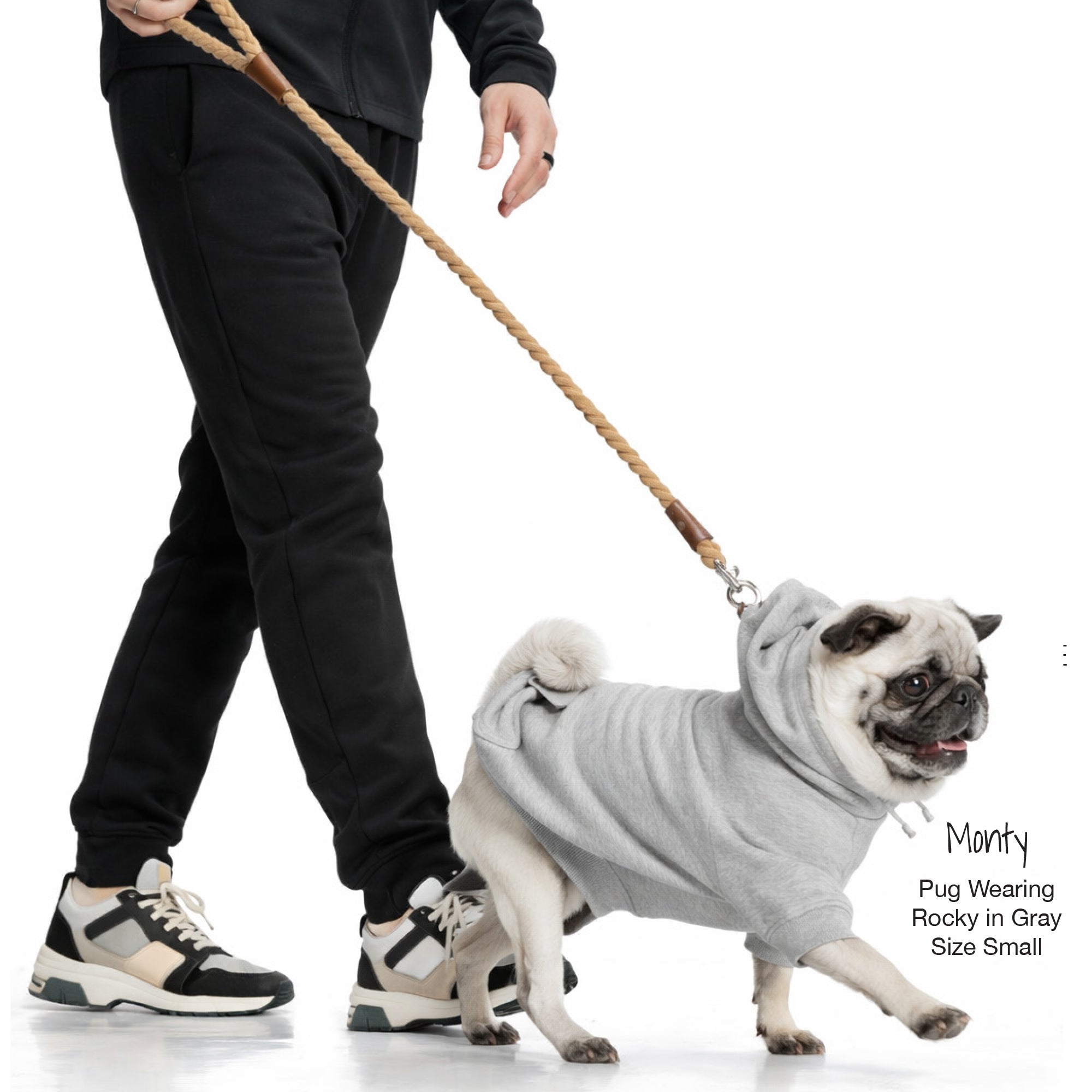 Monty the Pug being walked with the ROWAN rope leash
