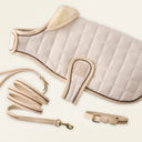 Dog muzzle, leash, and collar set on a light background