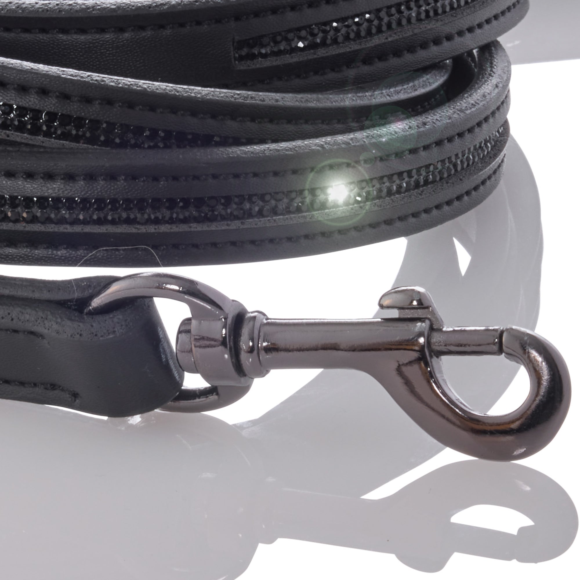 Black leather dog leash with silver clasp on a reflective surface