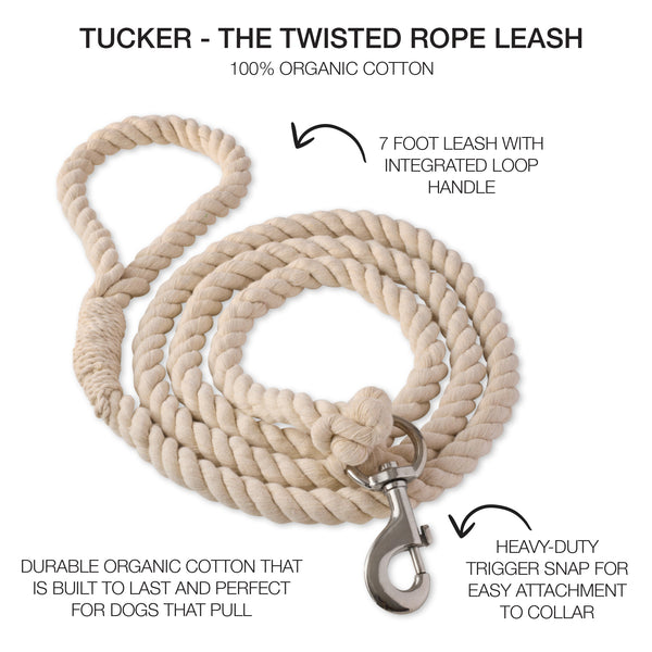 TUCKER - THE TWISTED ROPE LEASH , IVORY