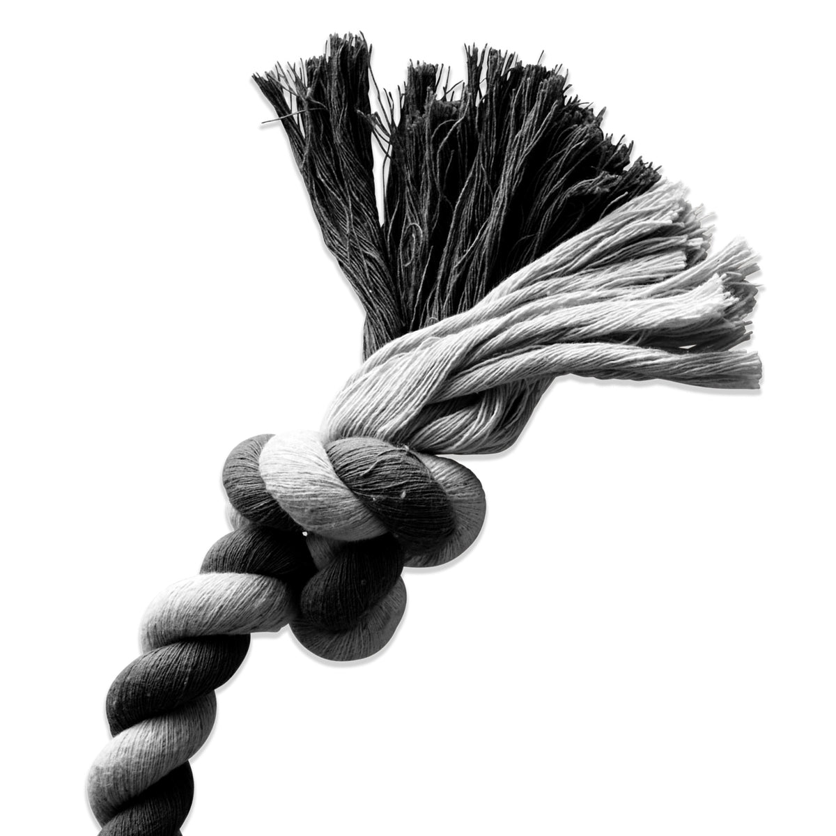 BUDDY - BRAIDED ROPE TOY, 2 PACK