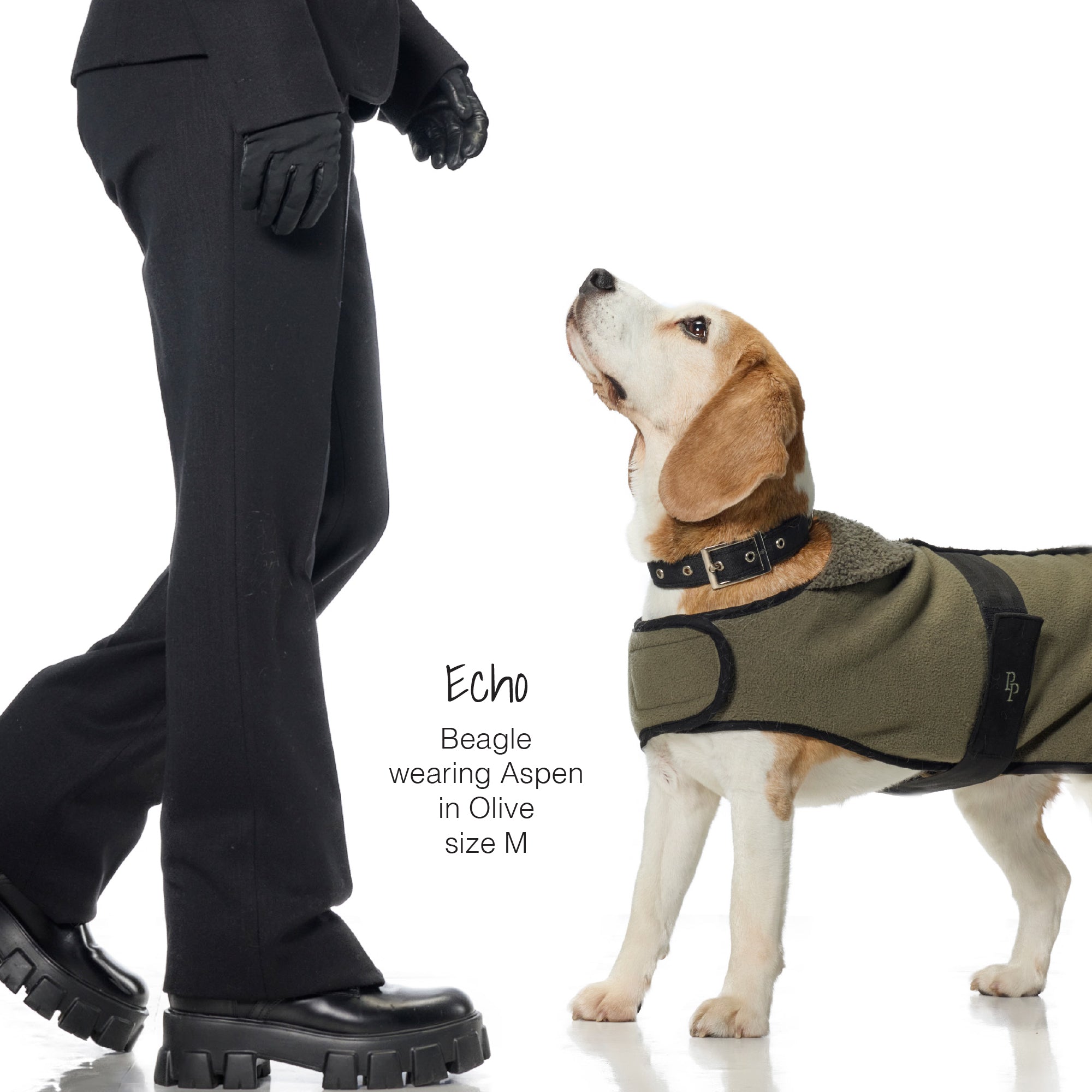 Dog wearing a coat with a person in black attire on a white background