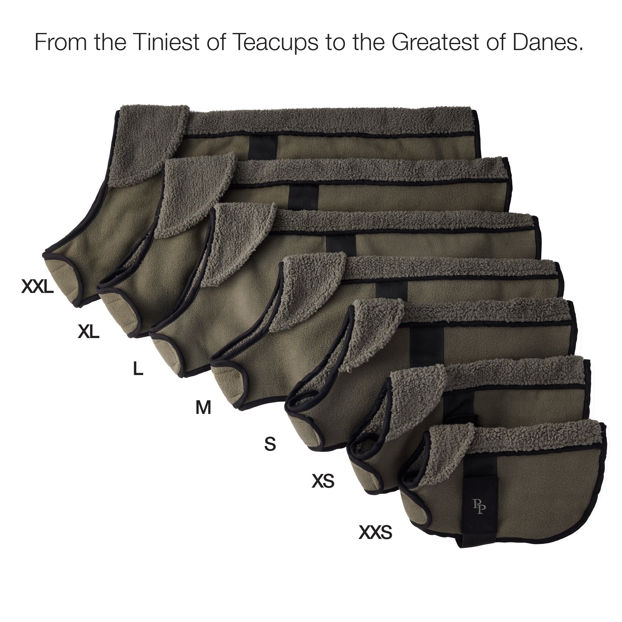 Set of dog coats in various sizes with size labels on a white background.