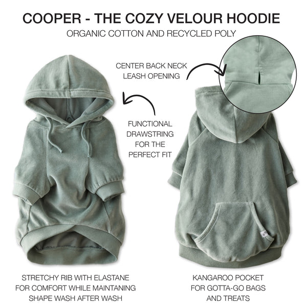 COOPER - THE COZY VELOUR HOODIE, Sage