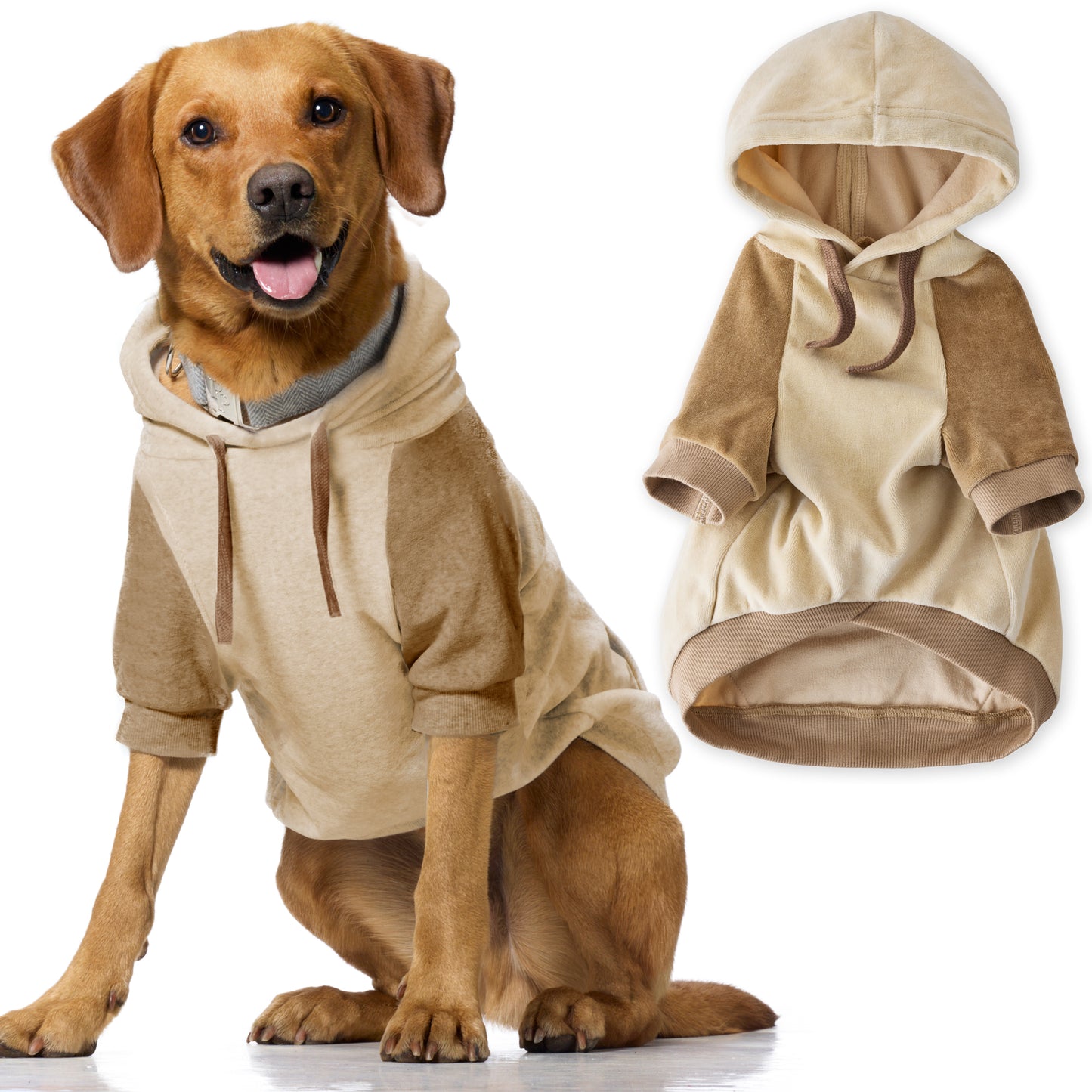 COOPER II - THE COZY VELOUR HOODIE