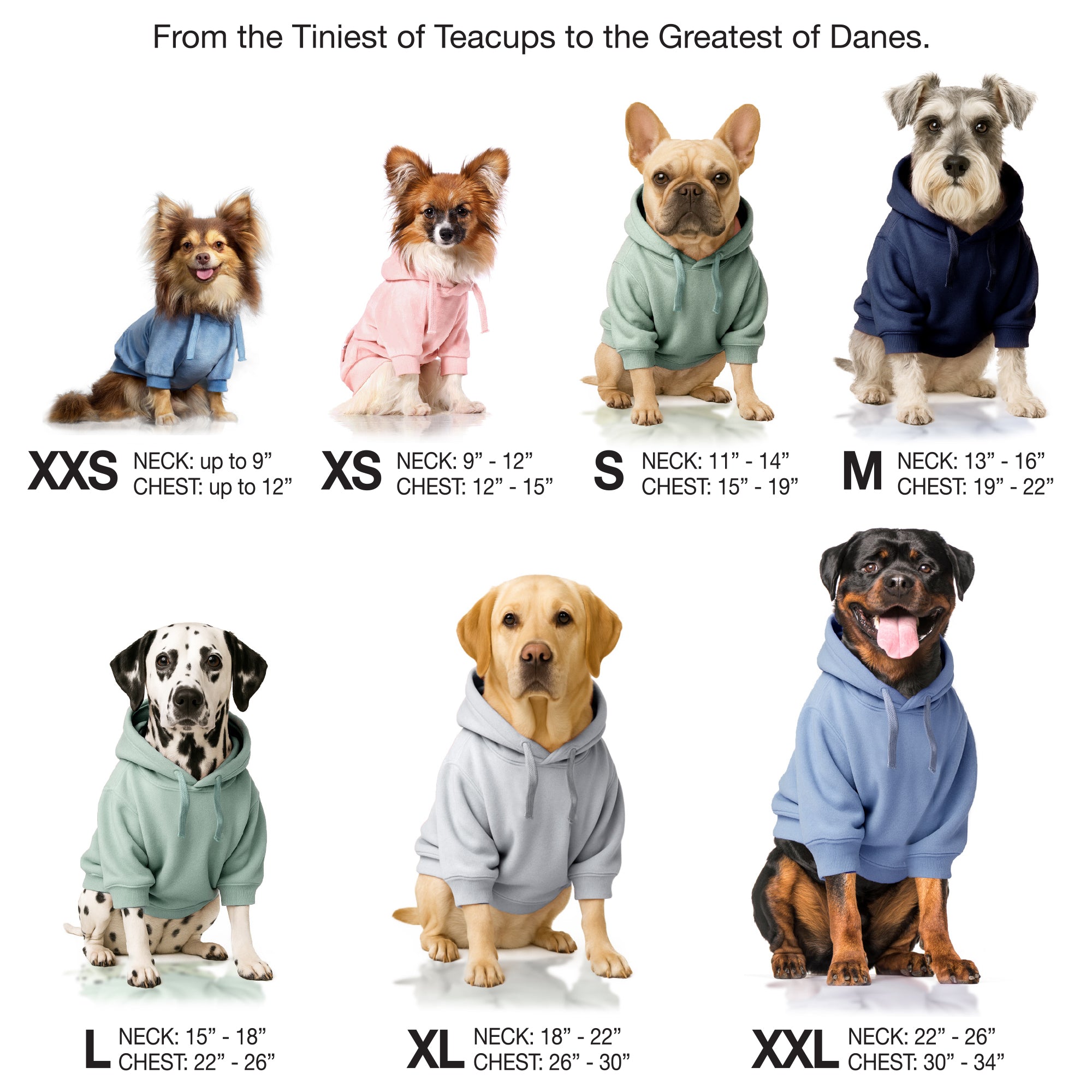 Pet Passion Cooper II cozy velour dog hoodie in Heather Gray Color Block — soft organic cotton velour sweatshirt for small to large dogs