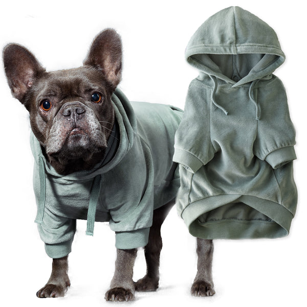 COOPER II - THE COZY VELOUR HOODIE, SAGE