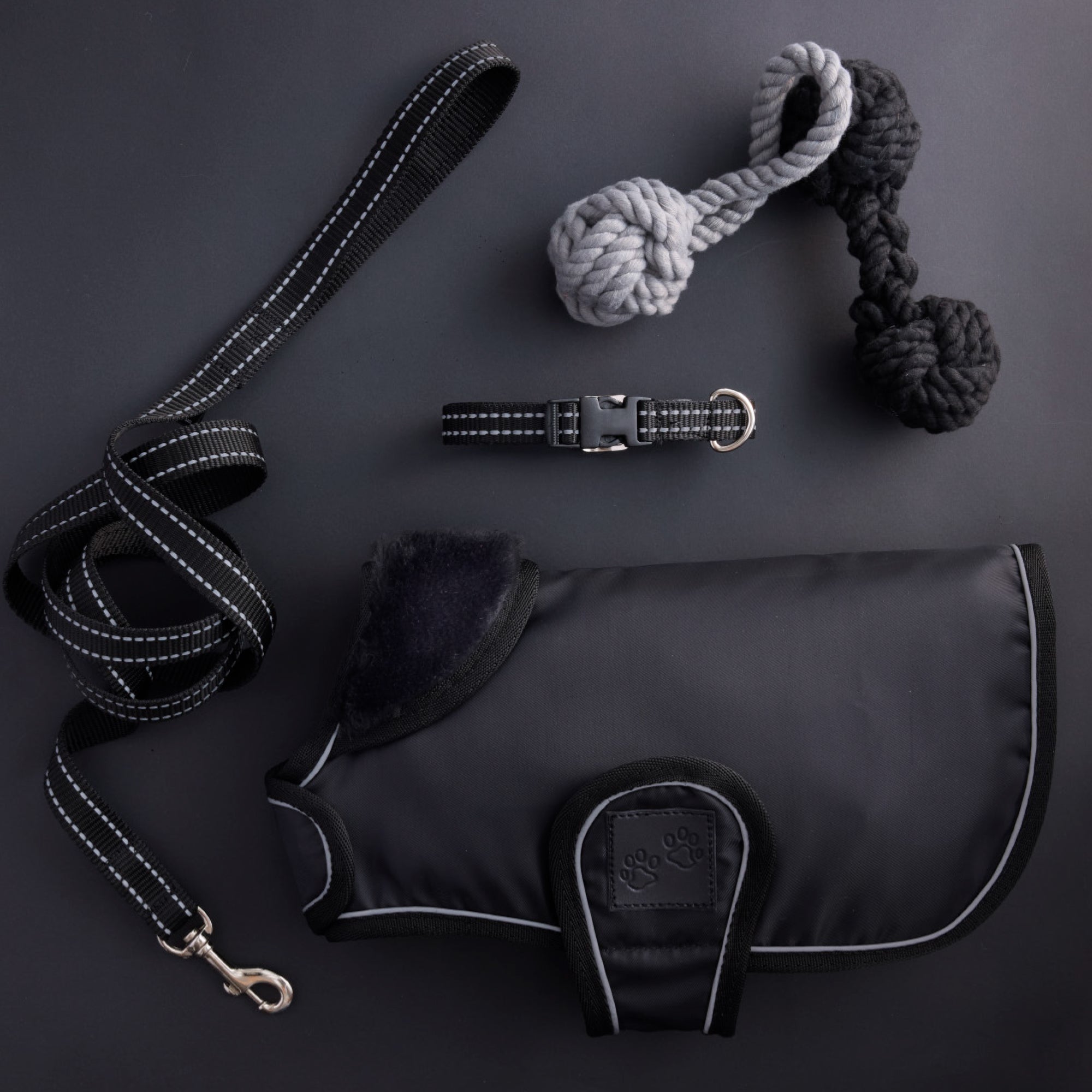 Dog leash, collar, and toys on a dark surface