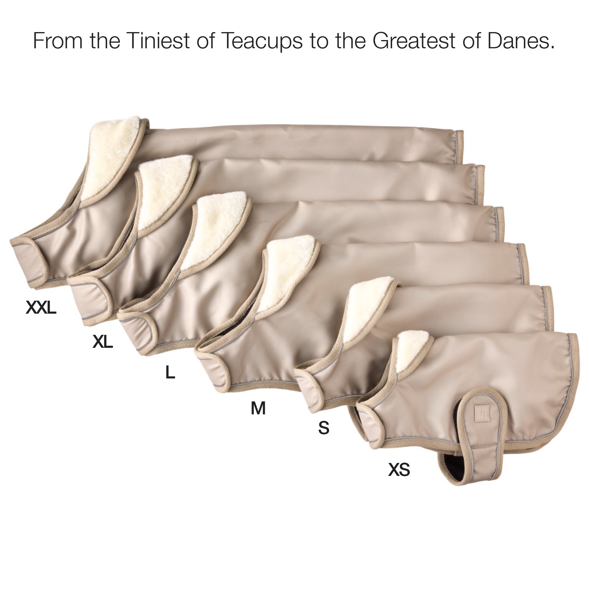 Pet passion size guide for XXL-XS dog coats