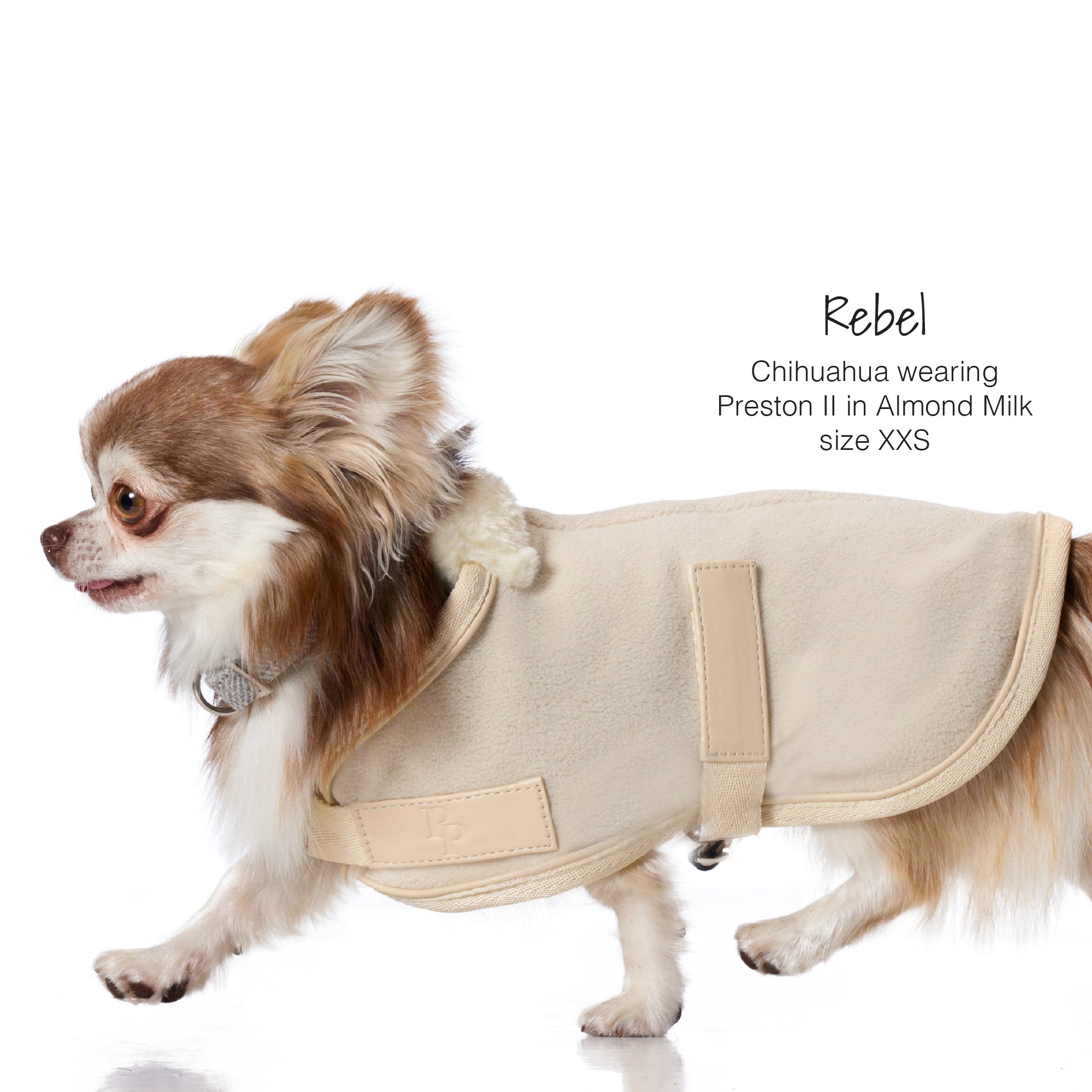 Rebel the dog wearing the Preston Fleece in Beige on a white background