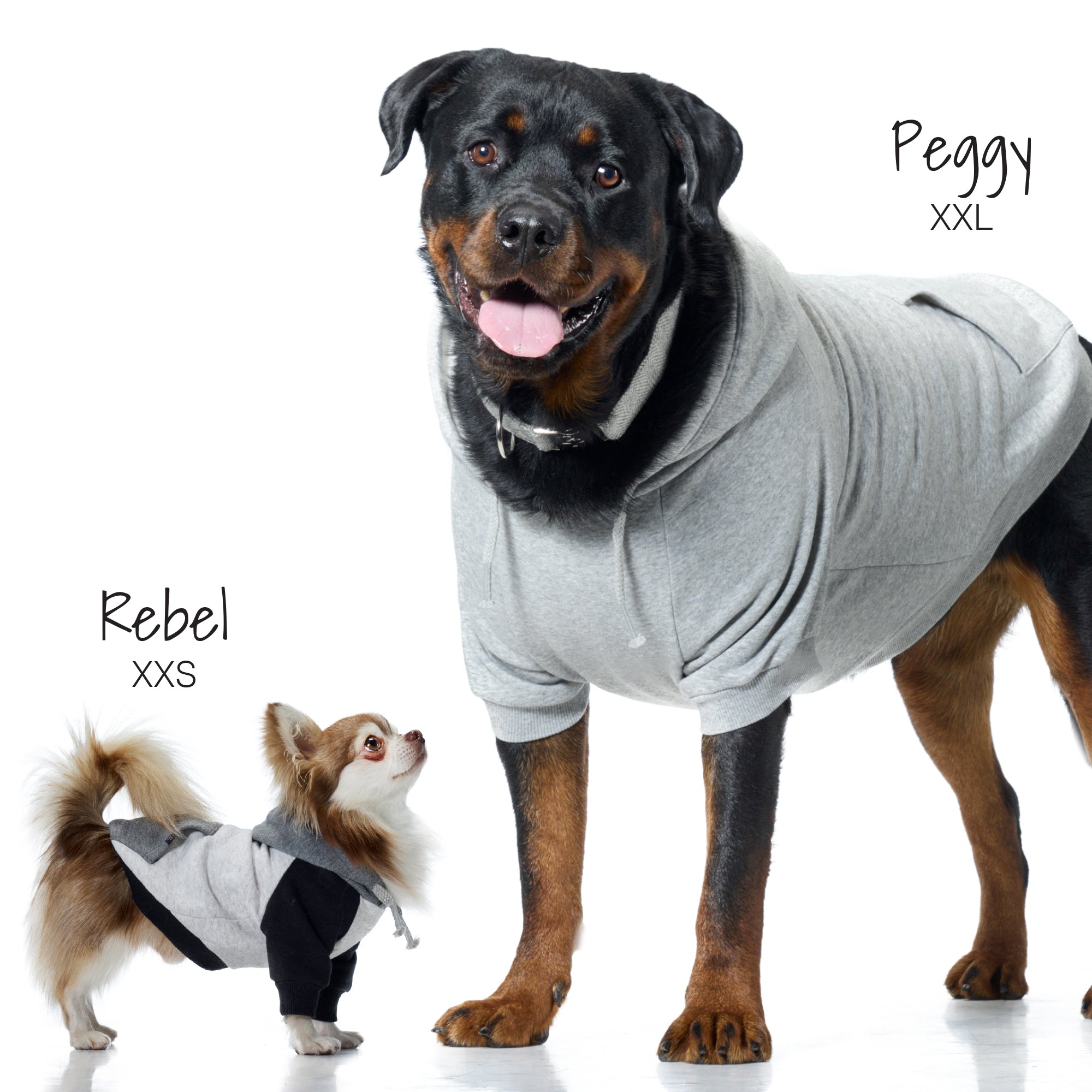 ROCKY – THE ORIGINAL LIGHTWEIGHT HOODED TEE