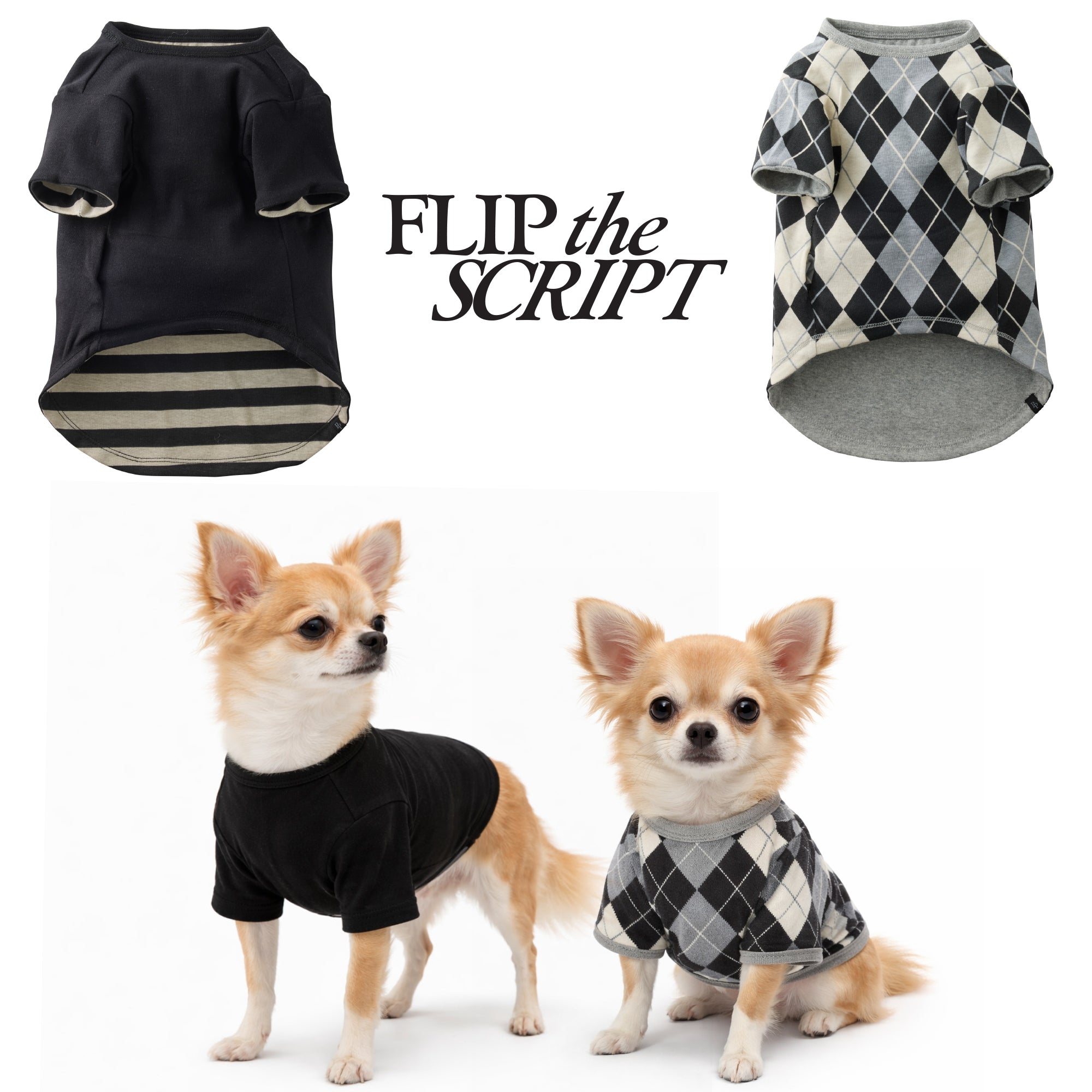 Two dogs wearing black and argyle patterned dog sweaters with 'FLIP the SCRIPT' text above.