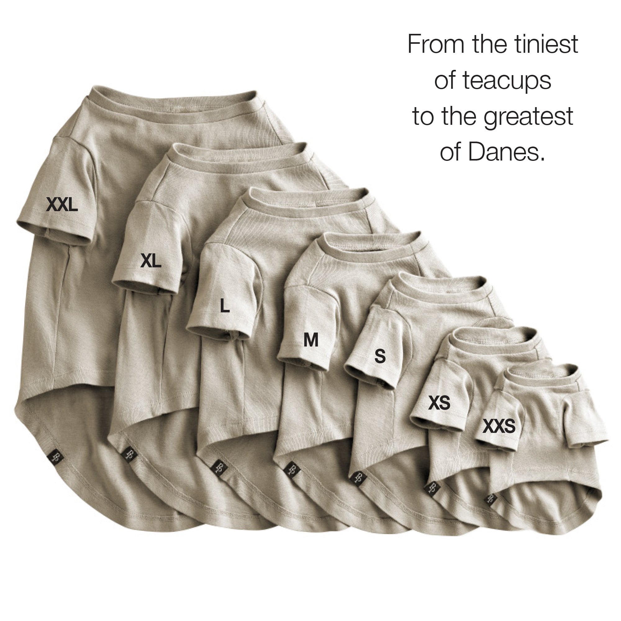 Beige t-shirts of various sizes with size labels on a white background