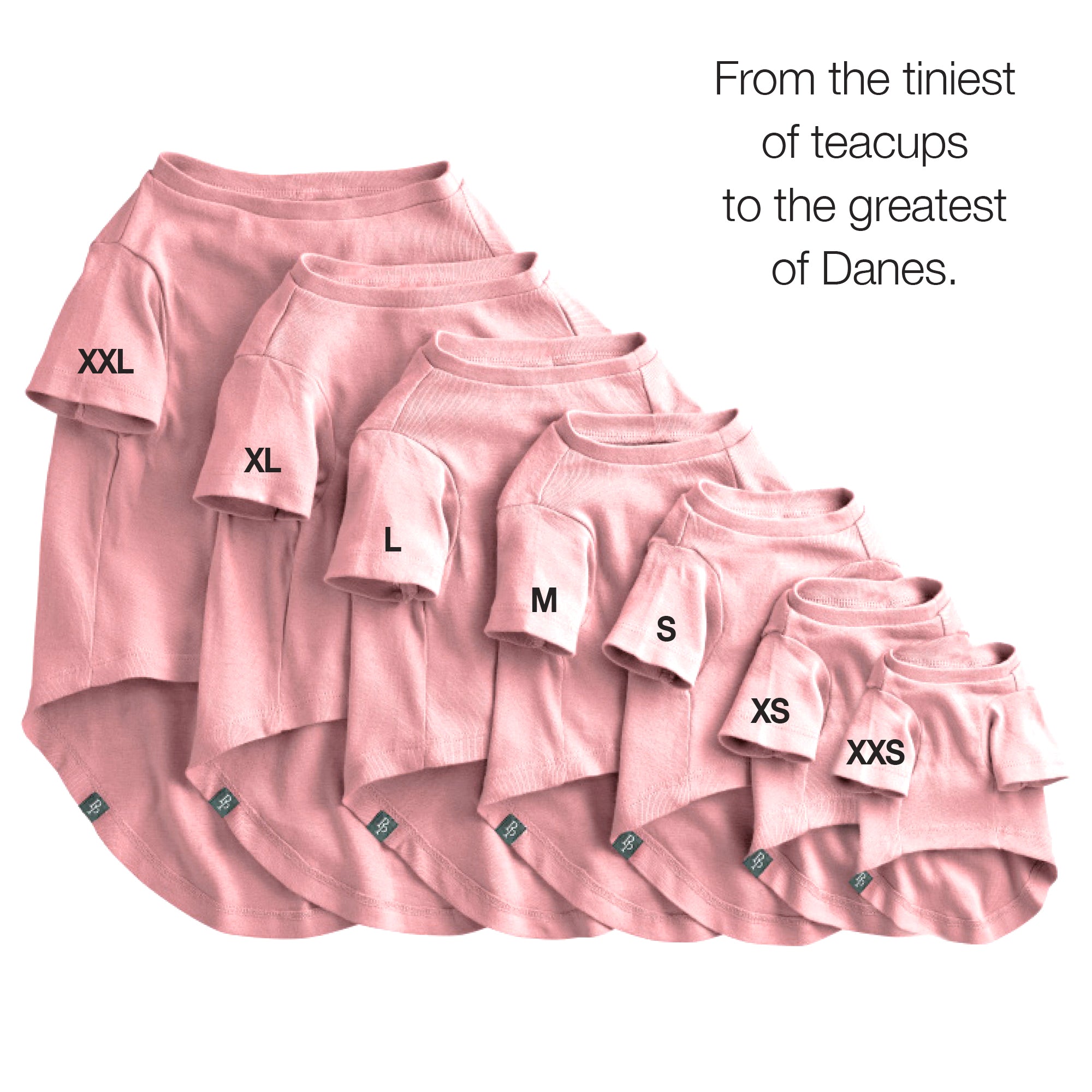 Set of pink shorts in various sizes with size labels on a white background.