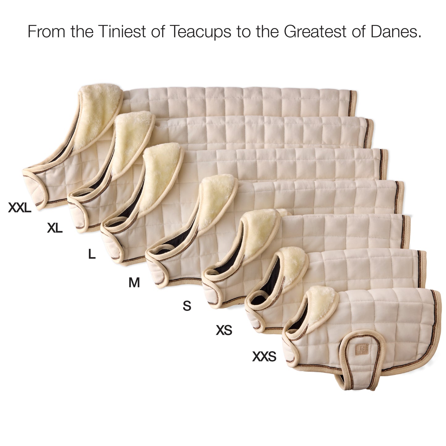 Set of dog coats in various sizes from XXS to XL on a white background.