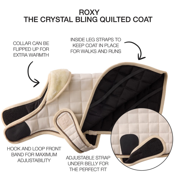 Quilted dog coat with features highlighted on a white background