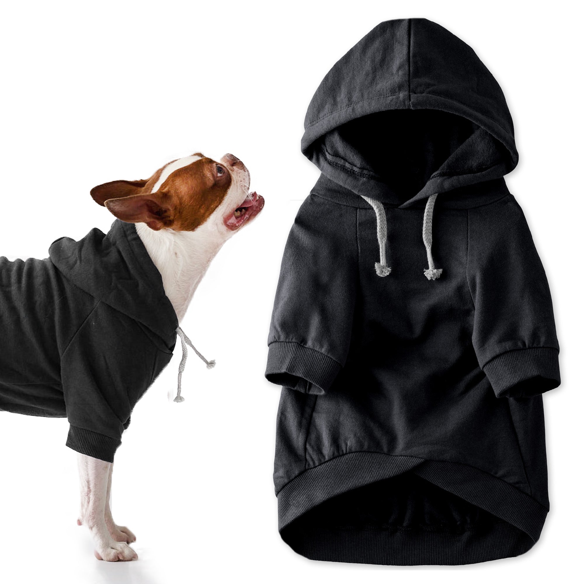 Dog in black hoodie on the left, black hoodie displayed on the right