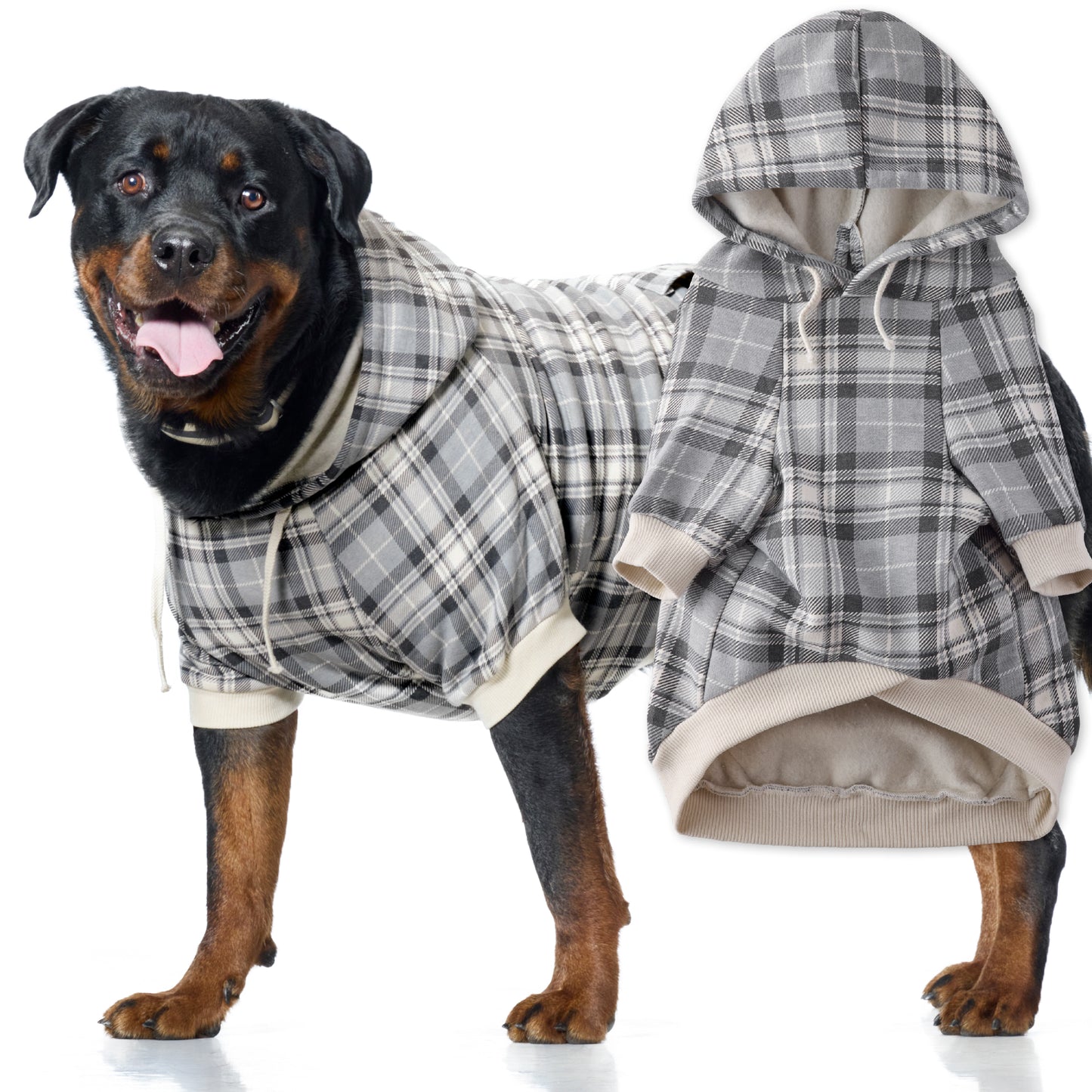 Dog wearing a plaid coat with a matching outfit on a white background