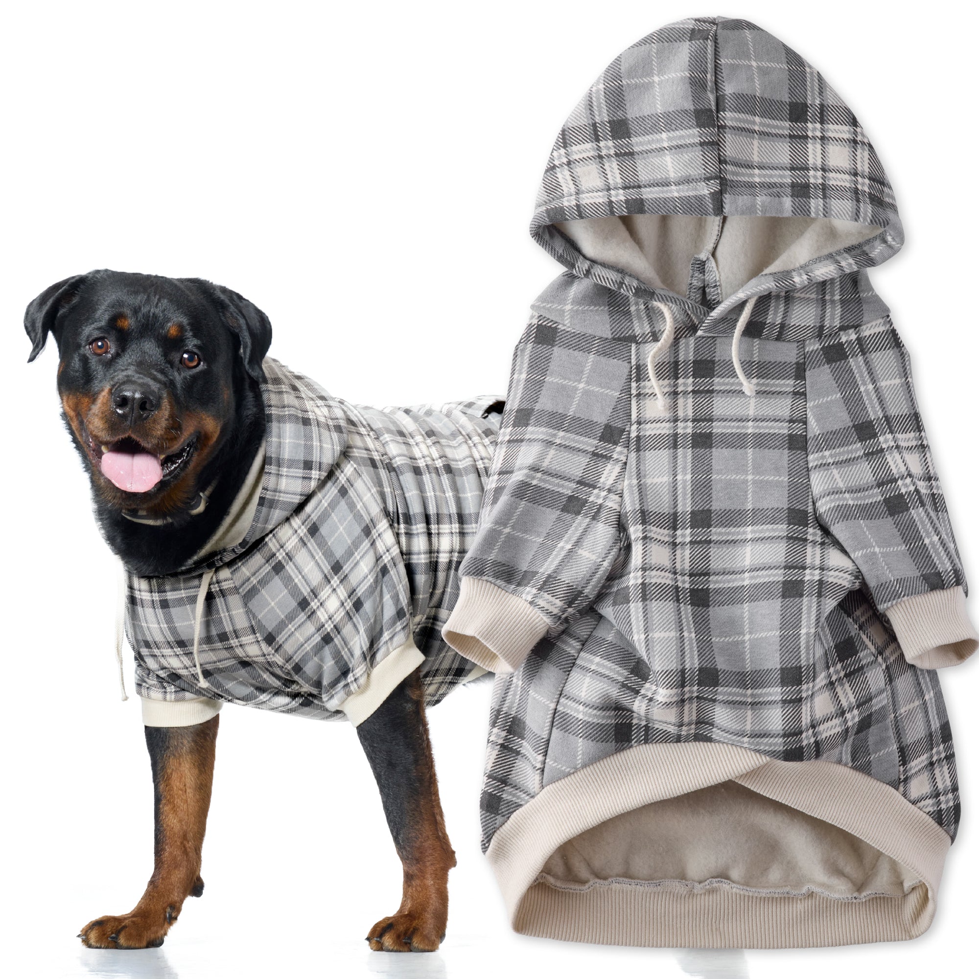 Dog wearing a plaid coat with a matching outfit on a white background