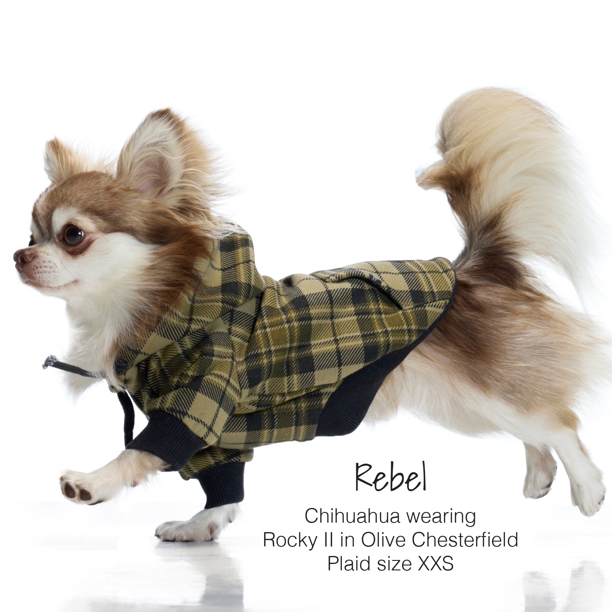 ROCKY II – THE EXTRA PLUSH COMFY HOODIE
