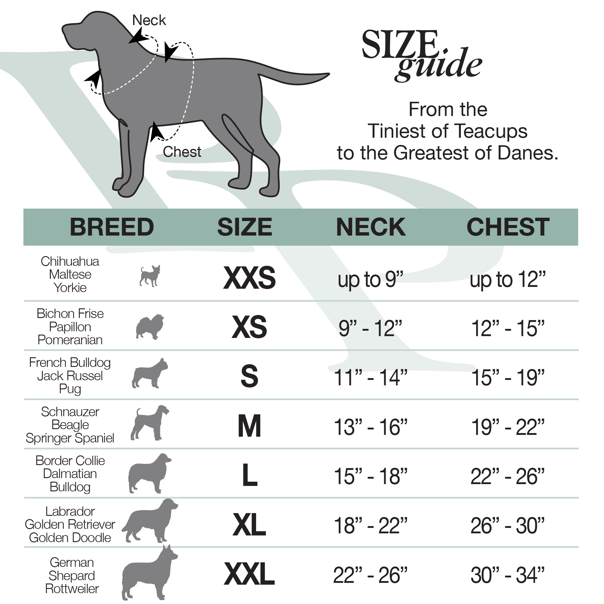 Dog size chart with breeds, neck, and chest measurements.