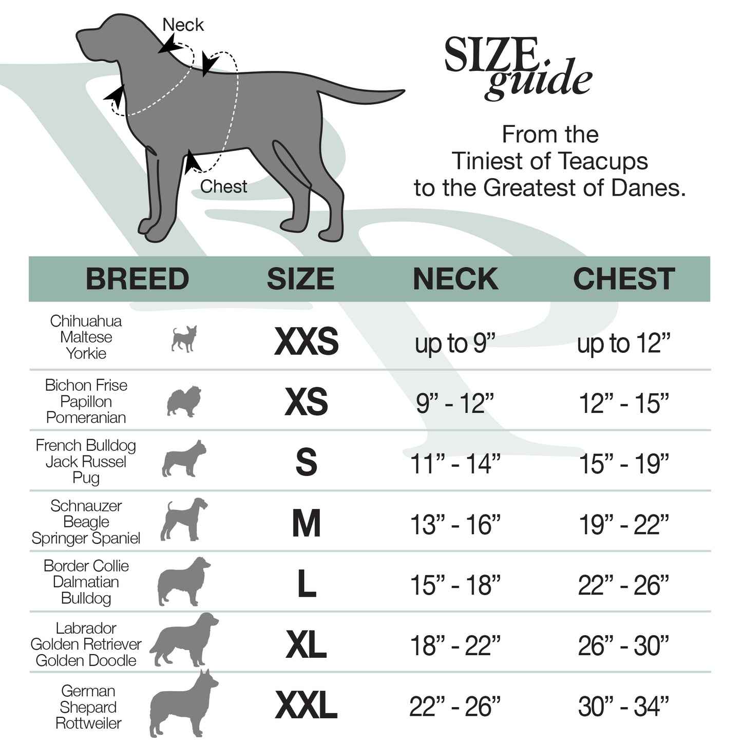 Dog size chart with breeds, neck, and chest measurements.