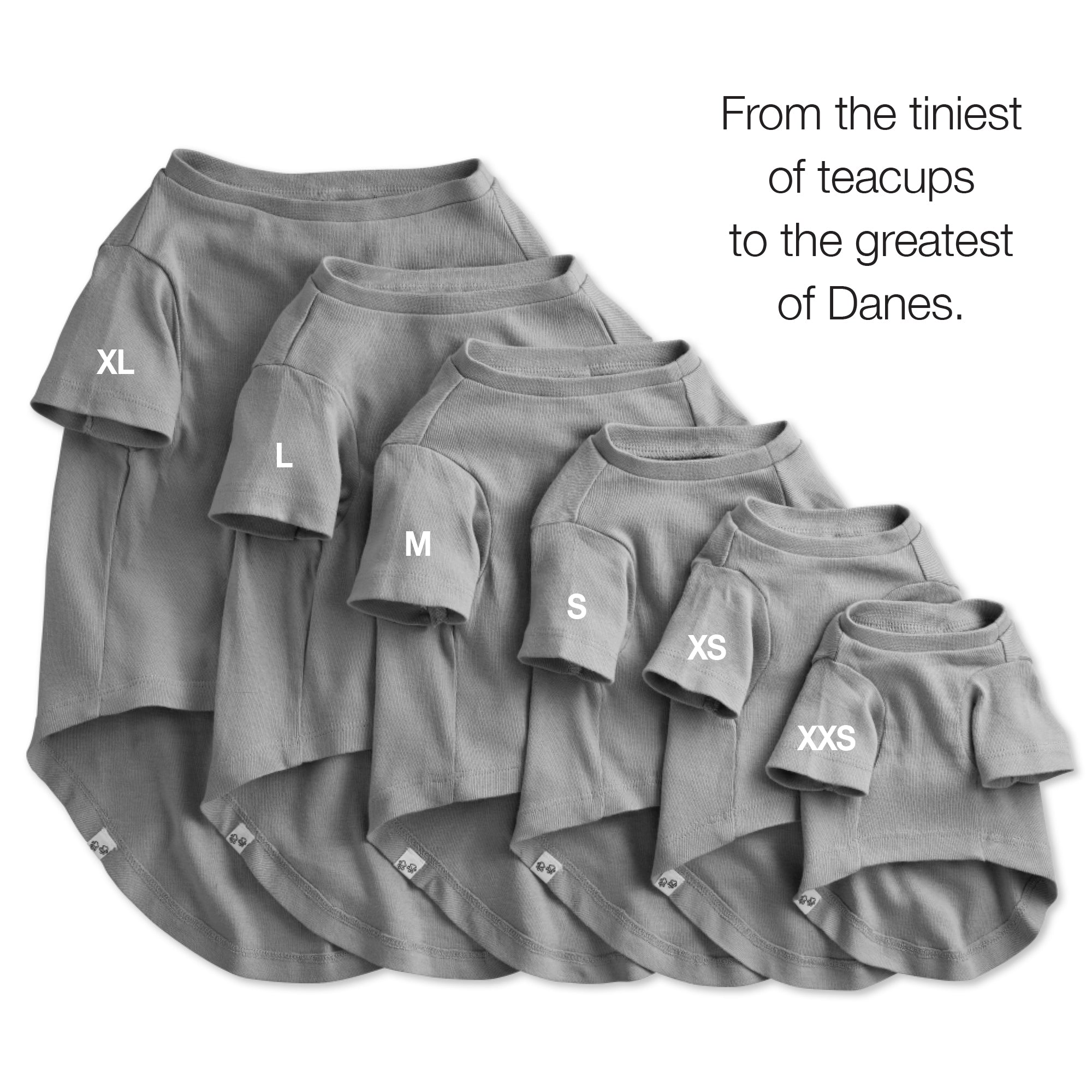 TOBY - THE PERFECT TEE