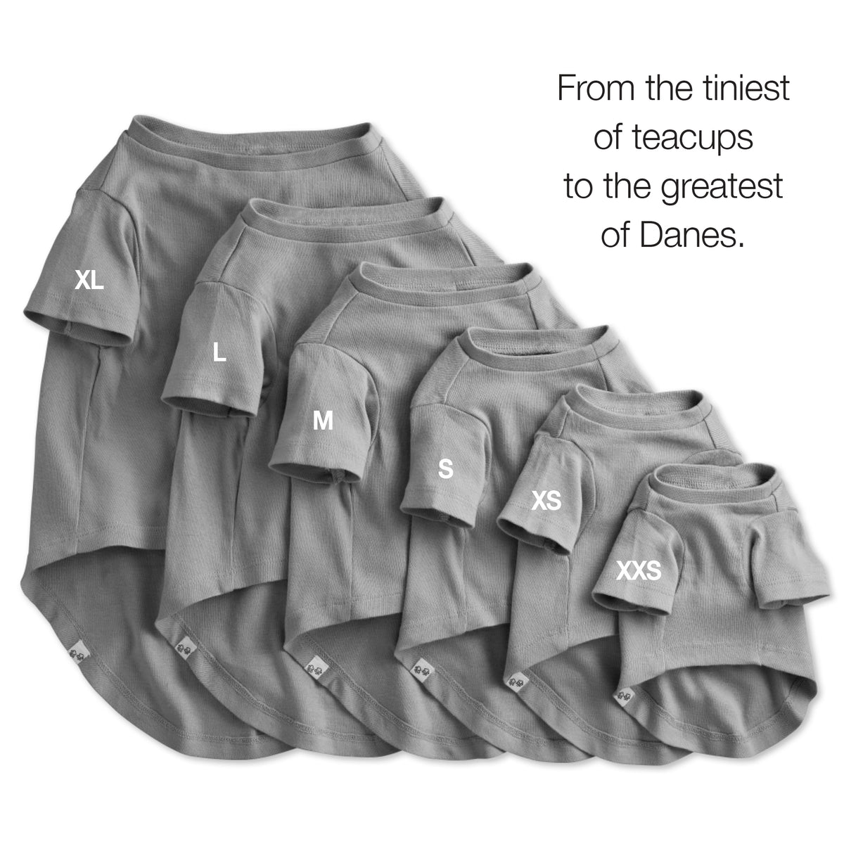 TOBY - THE PERFECT TEE