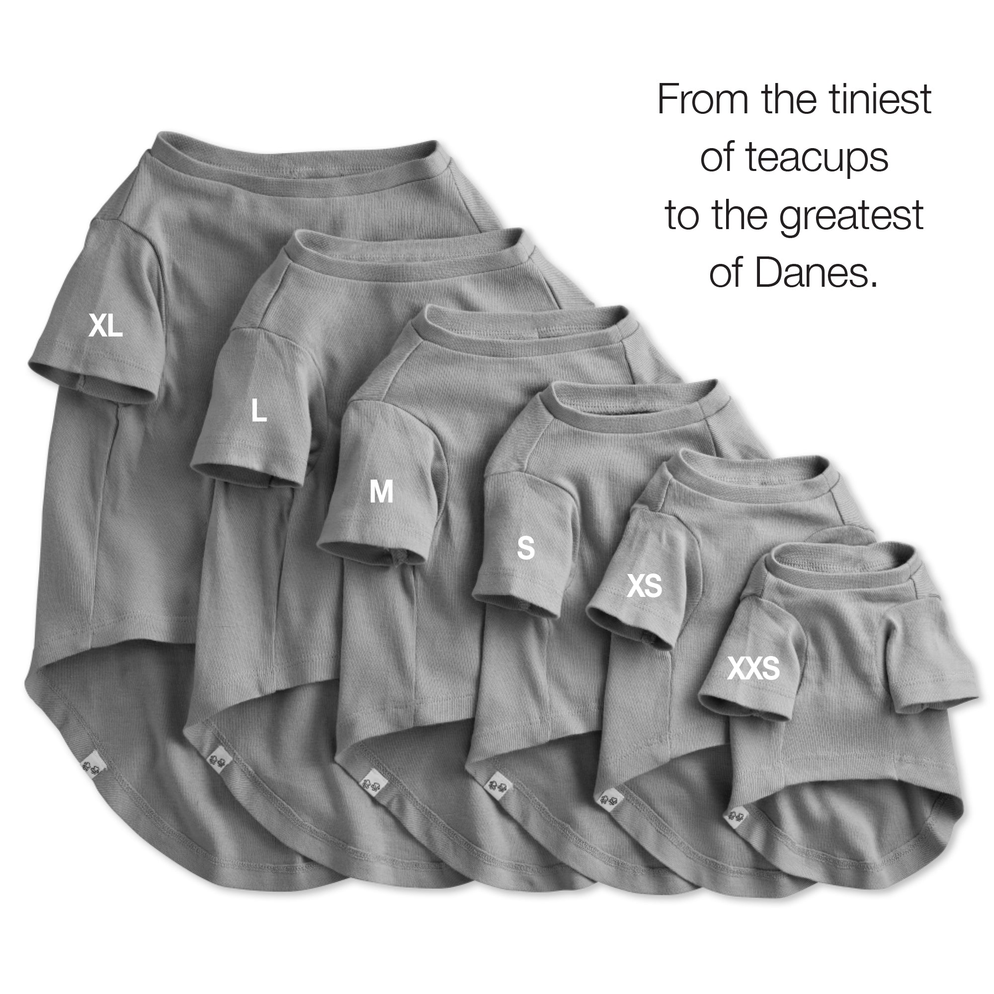 FROM THE TINIEST OF TEACUPS TO THE GREATEST OF DANES